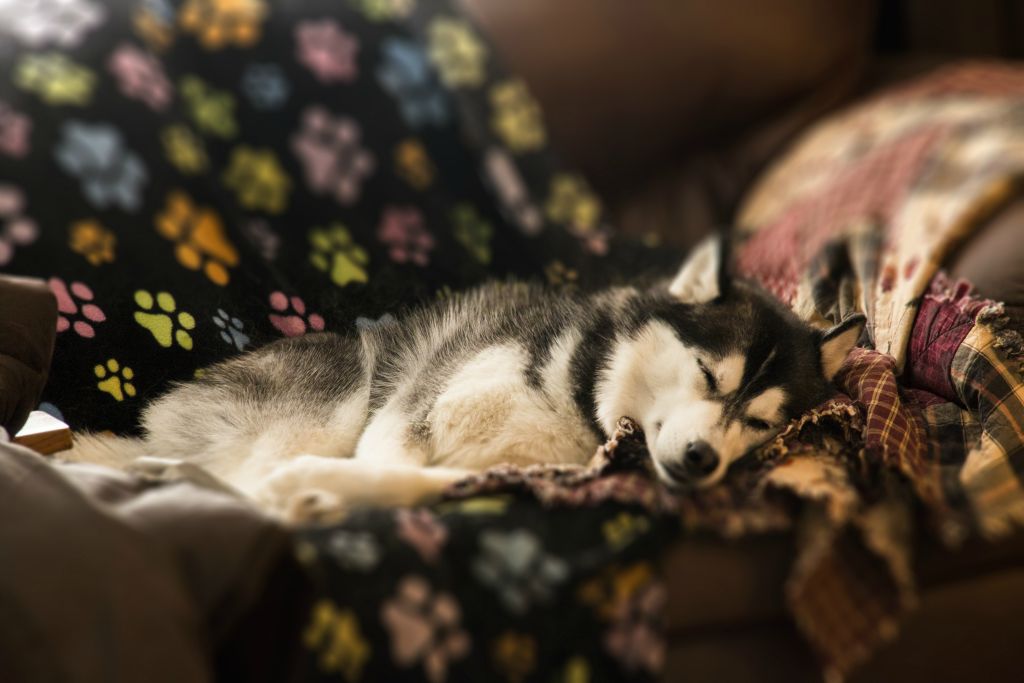 Too much running in the snow